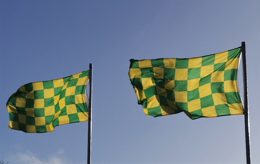 Two Shannon Gaels Flags